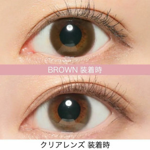 ReVIA 1Day – Circle Brown 日拋 每盒10片